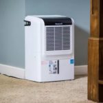 Signs You Should Buy a Dehumidifier
